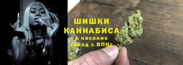 соль ск Богородицк