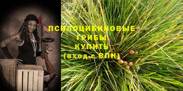соль ск Богородицк