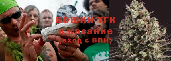 индика Приозерск