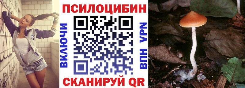 Галлюциногенные грибы Psilocybe  мориарти Telegram  Томилино 